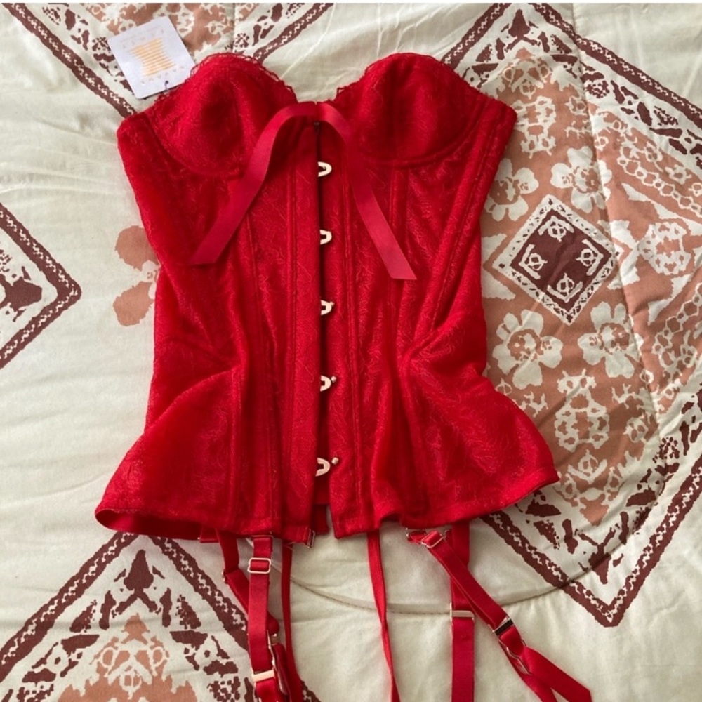 Savage X Fenty Corset - Picture 2 of 3